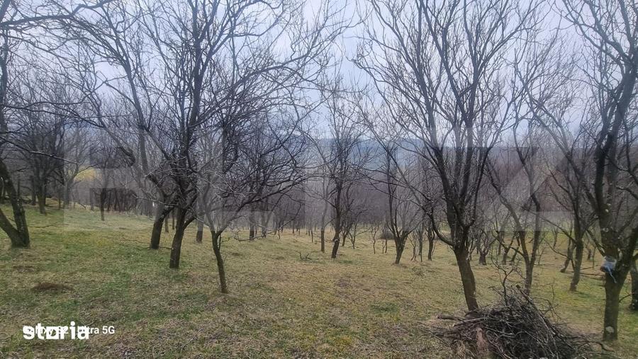 Teren de 3781 mp, în Izvoarele