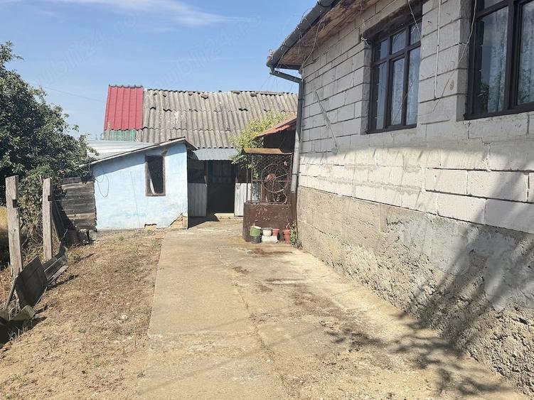 Casă cu Teren 2500 Mp în Prunișor