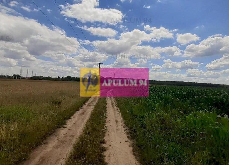 Teren Construcții intravilan de 715 mp, în Snagov