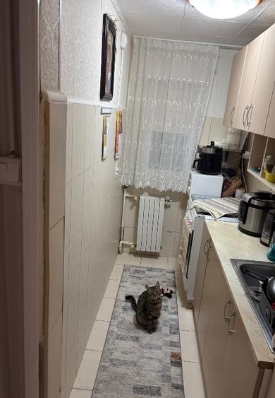 Apartament cu 2 camere semidecomandat, mobilat în Tomis Nord