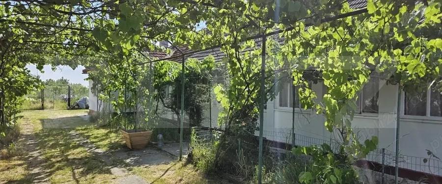 Casă individuală cu 3 camere cu Teren 2985 Mp în Nițchidorf