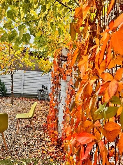 Casă cu 4 camere cu Teren 237 Mp în 1 Decembrie