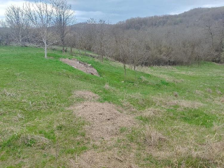 Teren de 3750 mp, în Verdea