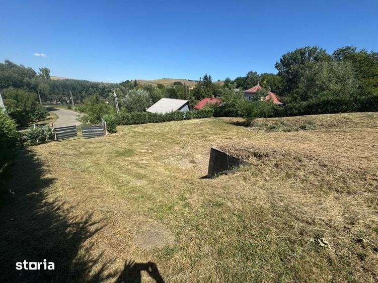 Teren de vanzare Bunesti - 5
