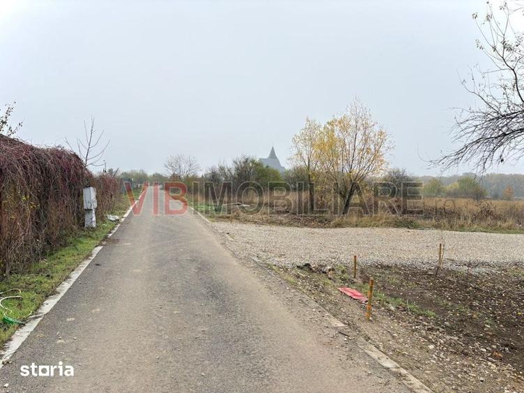 Teren intravilan de vanzare in Snagov Ciofliceni - 5