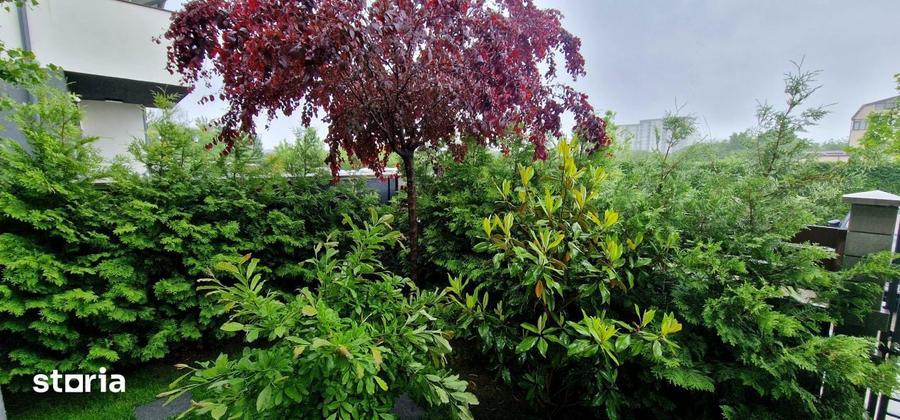 Casă cu 4 camere cu Teren 330 Mp în Chiajna