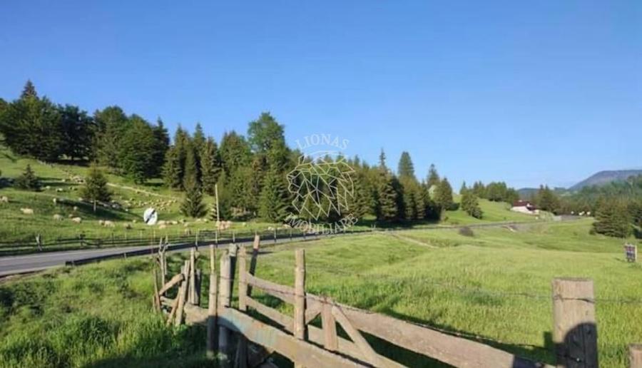 Teren Construcții extravilan de 11800 mp, în Piatra Fântânele