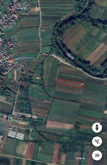 Teren de 2900 mp, în Lăpuș