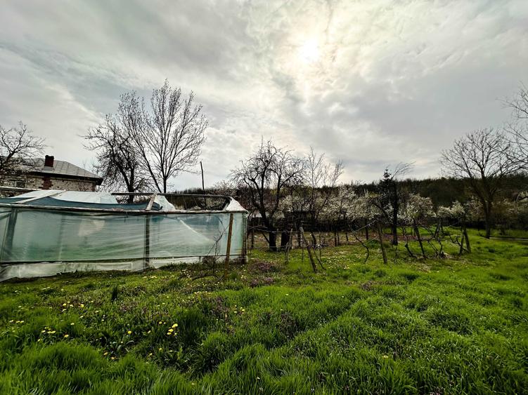 Casă cu 3 camere în Mârțești