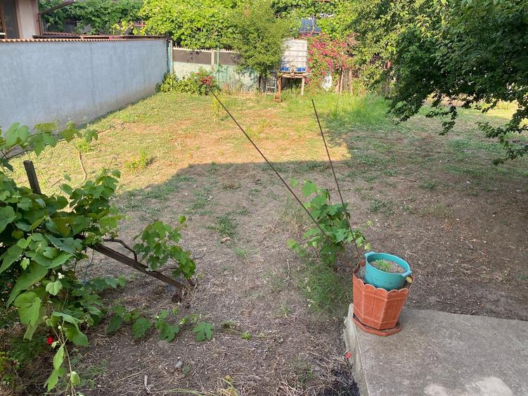 Teren Construcții intravilan de 1450 mp, în Sud