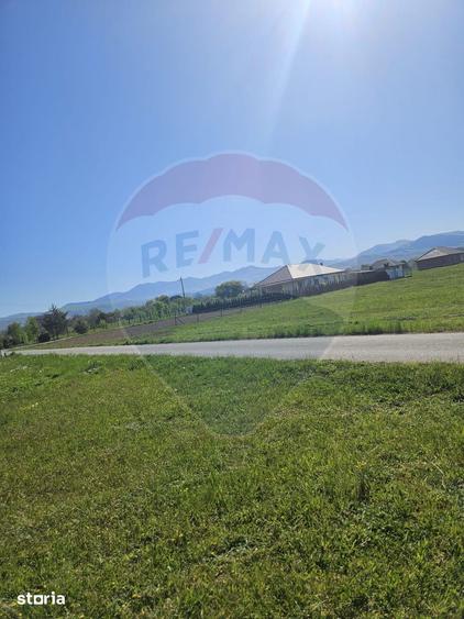 Teren de 1780 mp, în Bocicoiu Mare