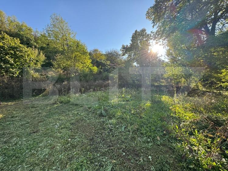 Casă individuală cu 4 camere cu Teren 3697 Mp în Orăștie
