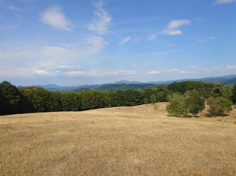 Teren agricol extravilan de 9059 mp, în Exterior Est