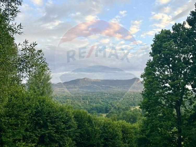 Teren agricol extravilan de 20876 mp, în Breb
