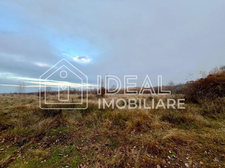 Teren agricol extravilan de 6500 mp, în Cârțișoara