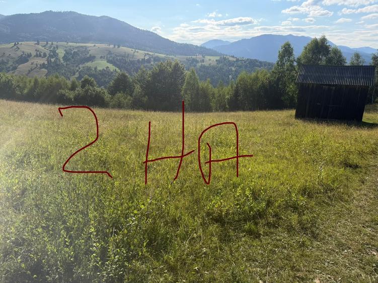 Spațiu comercial, în Vama