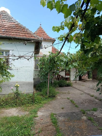 Casă cu 3 camere cu Teren 1000 Mp în Sutoru