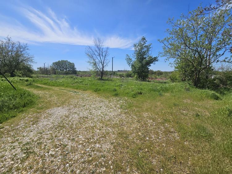 Teren de 550 mp, în Clinceni