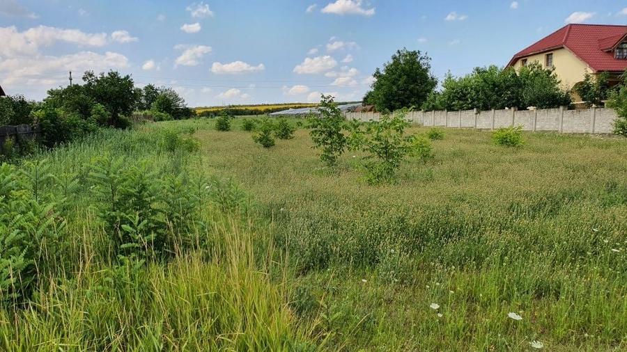Teren de 1000 mp, în Războieni