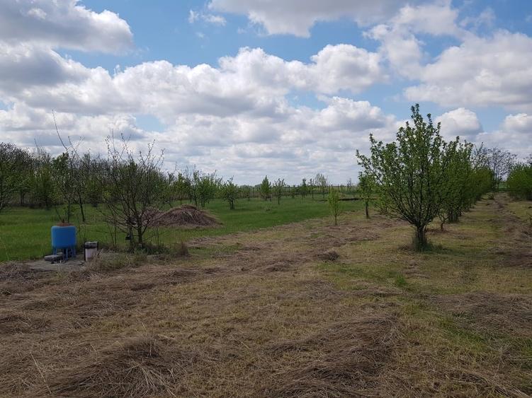 Casă individuală cu 2 camere cu Teren 8402 Mp în Jugureni