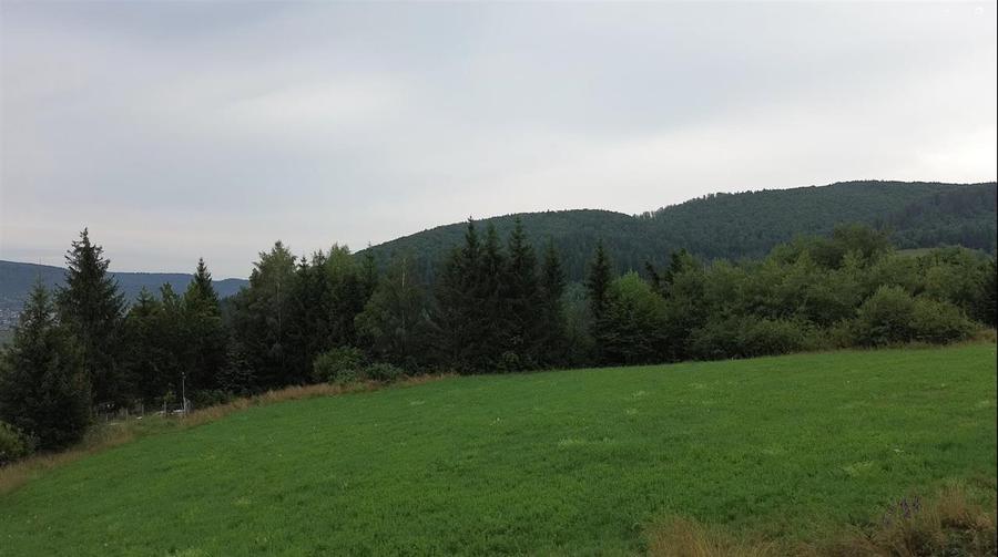 Teren Construcții intravilan de 5023 mp, în Voroneț