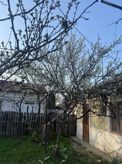 Casă cu 2 camere în Central
