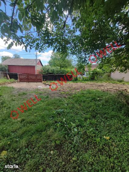 Teren de 1800 mp, în Valea Crișului