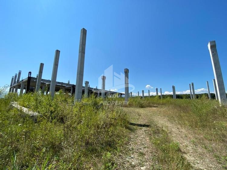 Teren Construcții intravilan de 8828 mp, în Șelimbăr