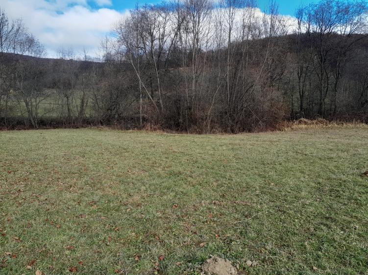 Teren Construcții intravilan de 4196 mp, în Dobârlău