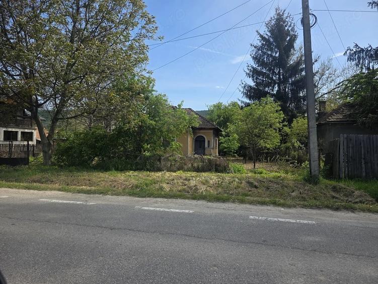 Teren de 5000 mp, în Central