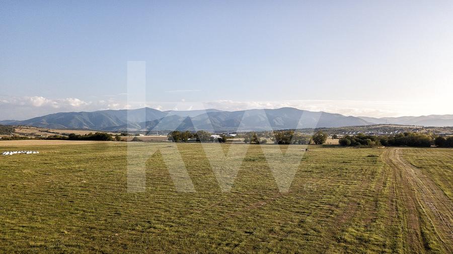 Teren agricol extravilan de 600 mp, în Cisnădie