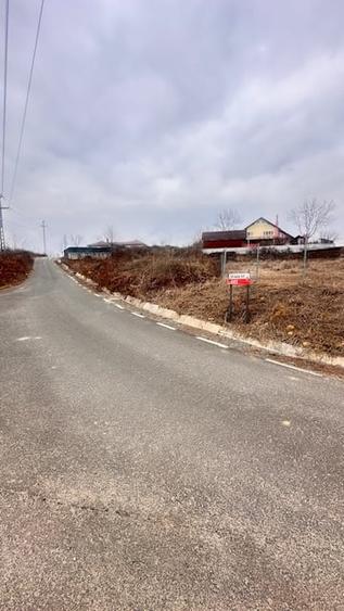 Teren agricol intravilan de 1600 mp, în Tăuții-Măgherăuș