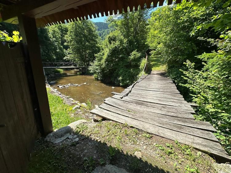 Casă cu 4 camere în Lăpuștești