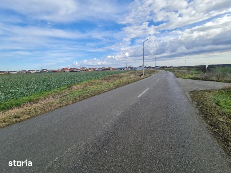 Teren de 790 mp, în Vladimirescu