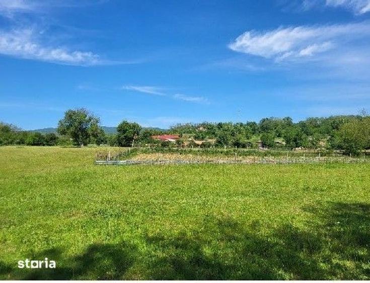 Teren de 1743 mp, în Tisău