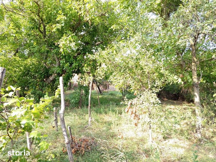 Casă cu 6 camere cu Teren 1151 Mp în Ciuchici