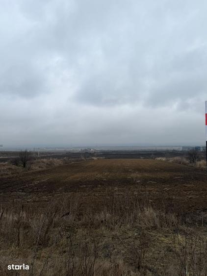 Teren de 12500 mp, în Nicolae Bălcescu