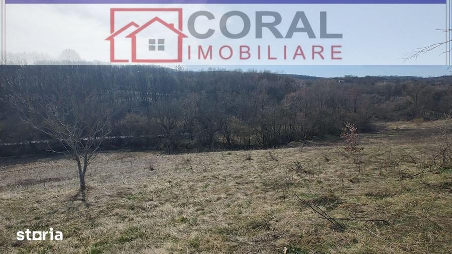 Teren de 5000 mp, în Șoimuș