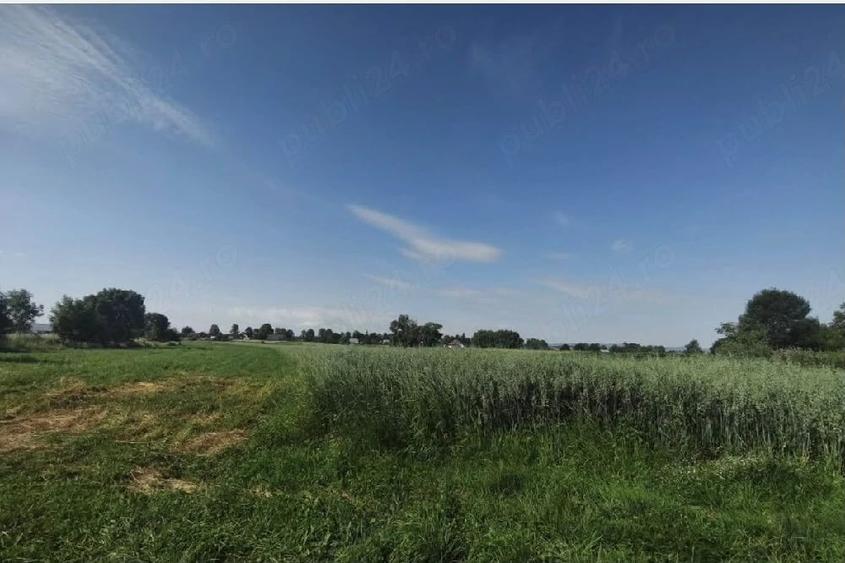 Casă cu 2 camere cu Teren 5500 Mp în Frătăuții Vechi