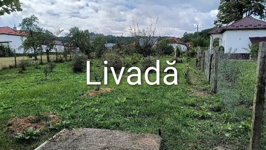 Casă cu Teren 1500 Mp în Crâmpotani