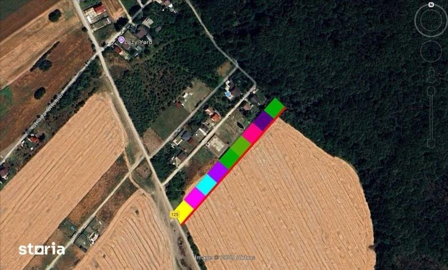 Loturi de vanzare 625 mp Domnesti, sat Teghes, langa Padure - 3