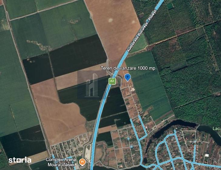 Teren de 1000 mp, în Moara Vlăsiei