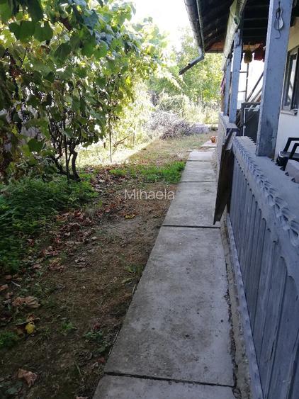 Casă cu 5 camere cu Teren 2146 Mp în Bărcănești