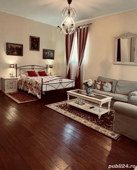 Spațiu comercial, de 990 mp, în Elisabetin