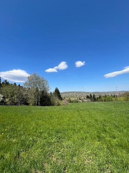 Teren de 2100 mp, în Putna