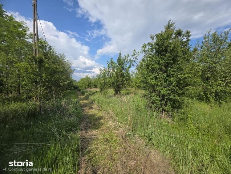 De Vanzare Casa Valea Vinului - 15