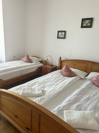 Apartament în Sub Arini