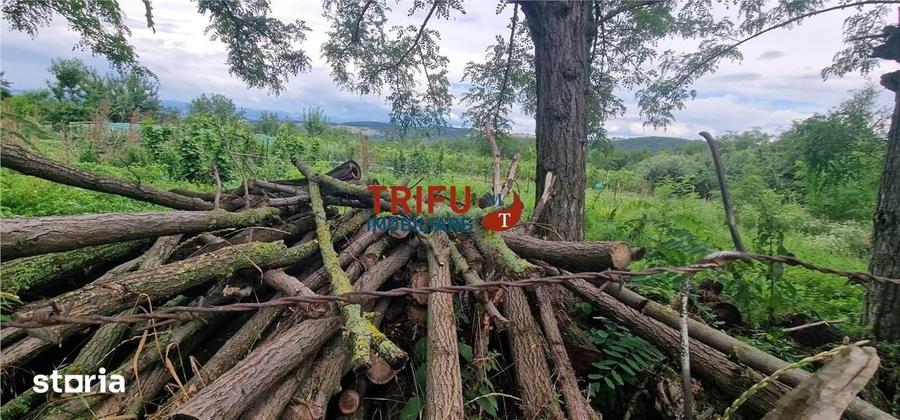 Teren de 1300 mp, în Straja