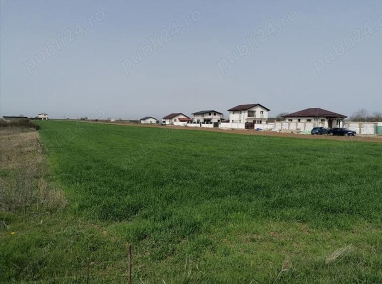 Teren de 7500 mp, în Adunații-Copăceni