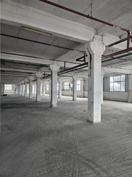 Spațiu industrial, de 10,000 mp, în Periferie